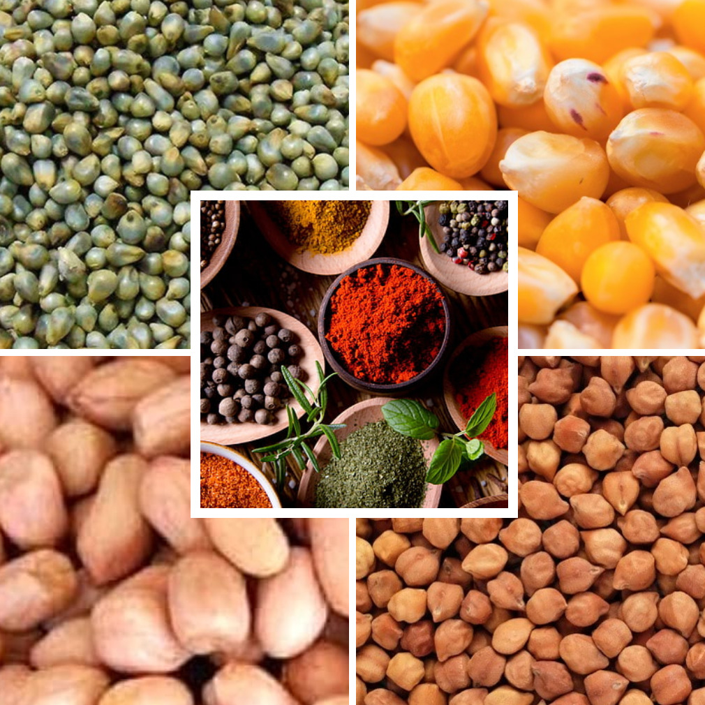 Food Export Category