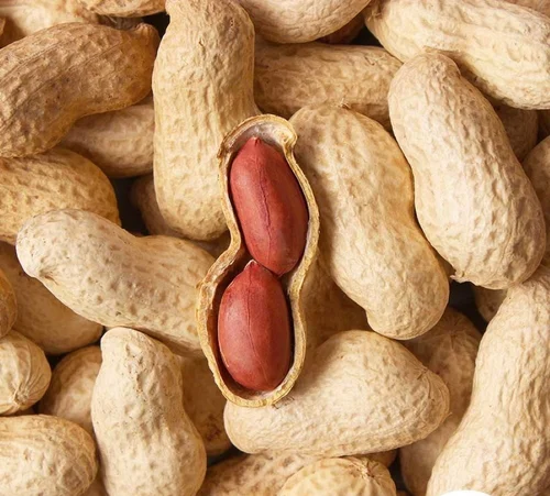 Nuts Category