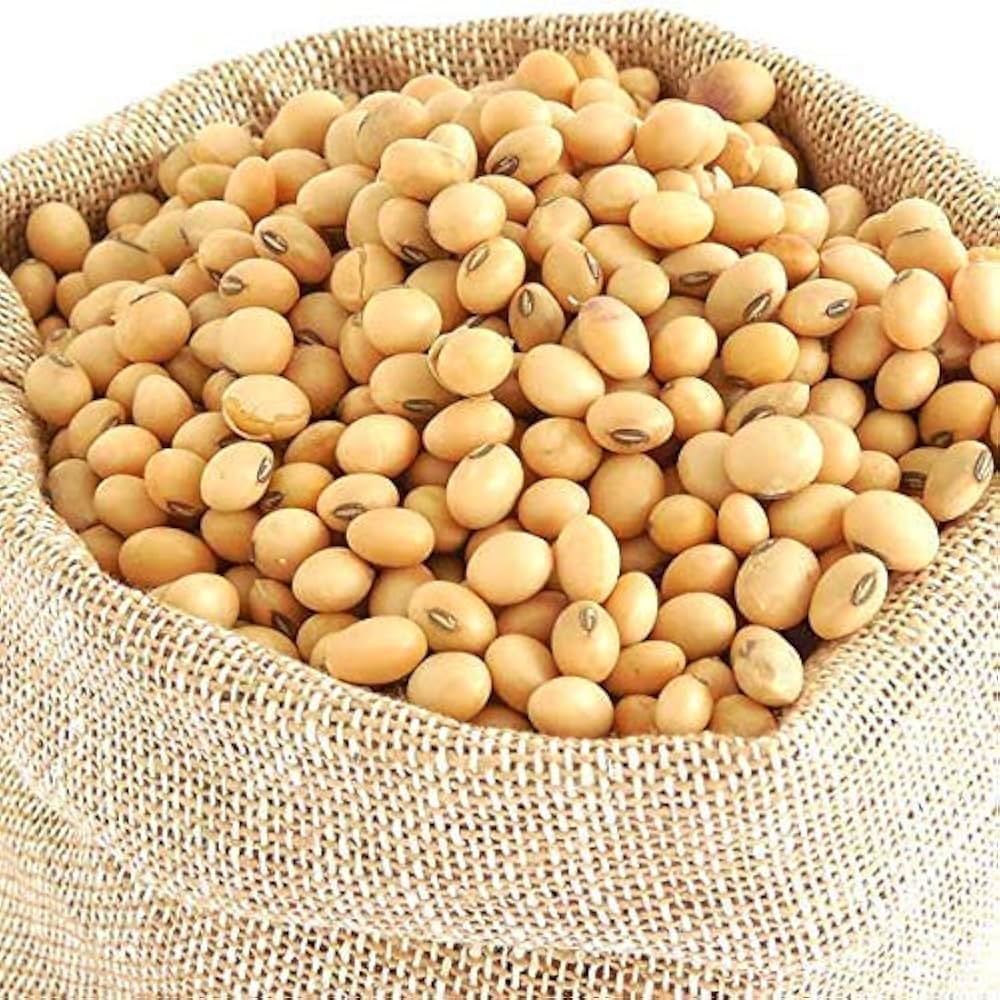 Soya Bean