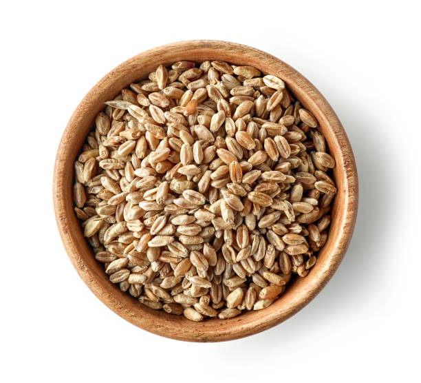Wheat